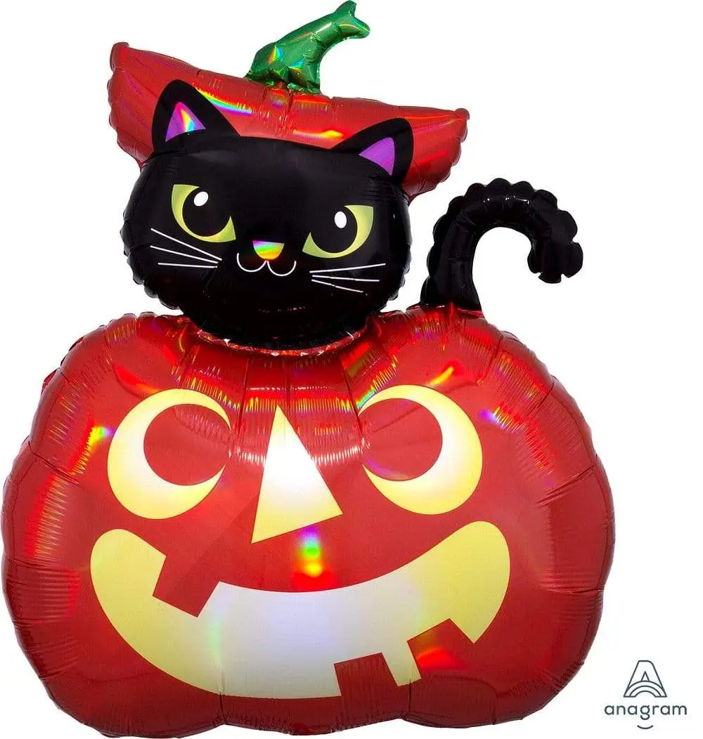 Cat in Pumpkin Shape