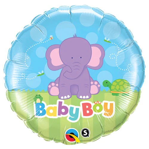 Baby boy elephant