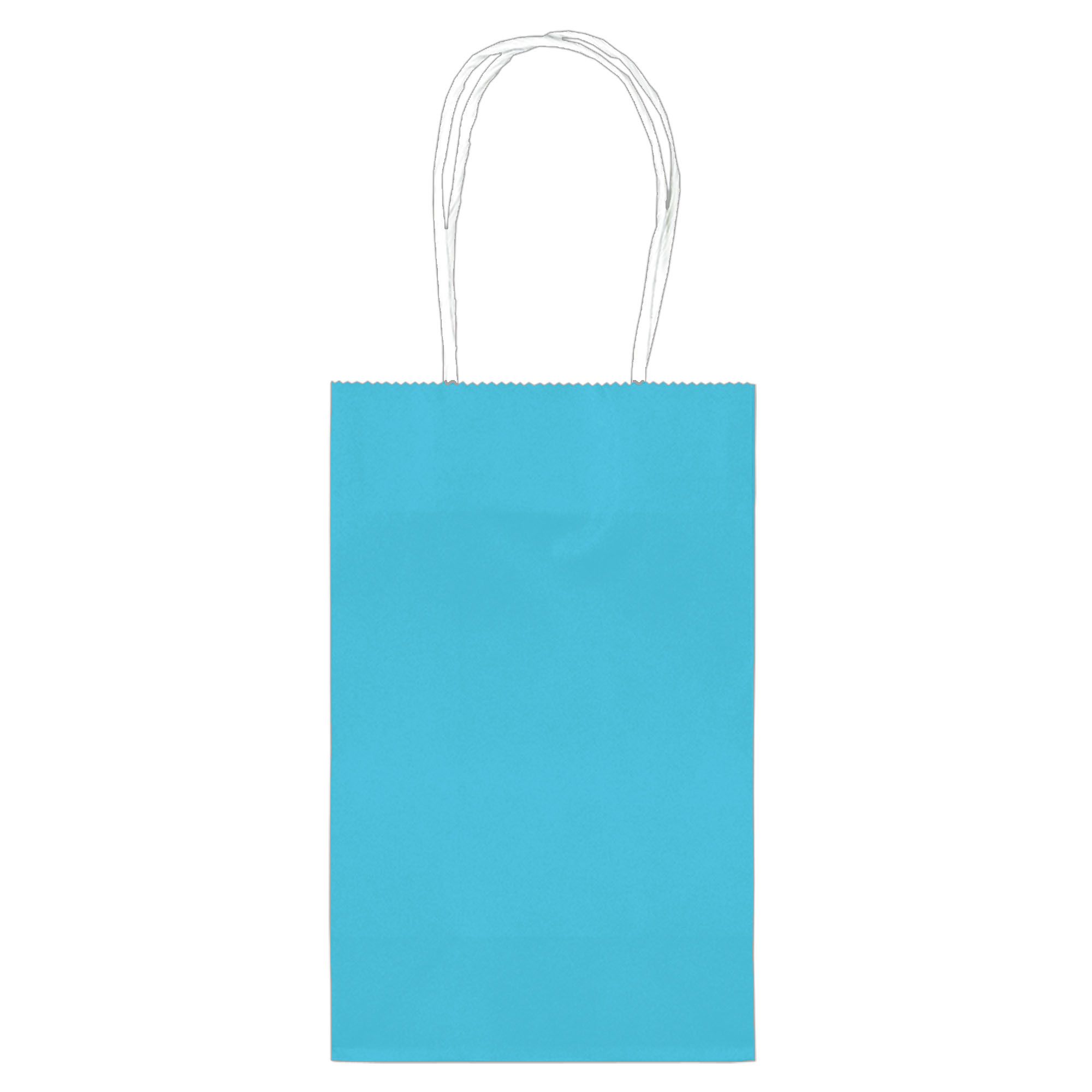 Turquoise  Paper Bags